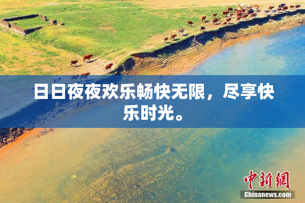 日日夜夜欢乐畅快无限，尽享快乐时光。