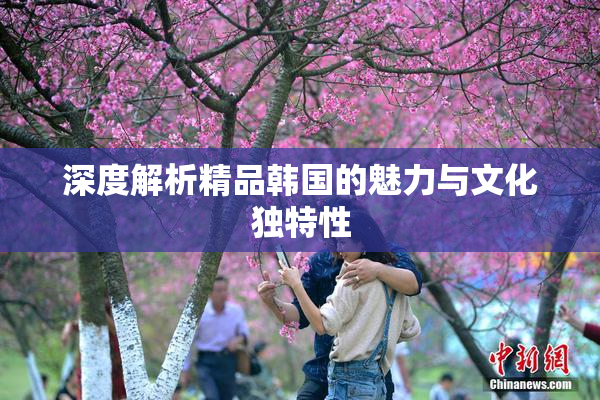 深度解析精品韩国的魅力与文化独特性