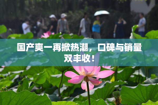 国产爽一再掀热潮，口碑与销量双丰收！