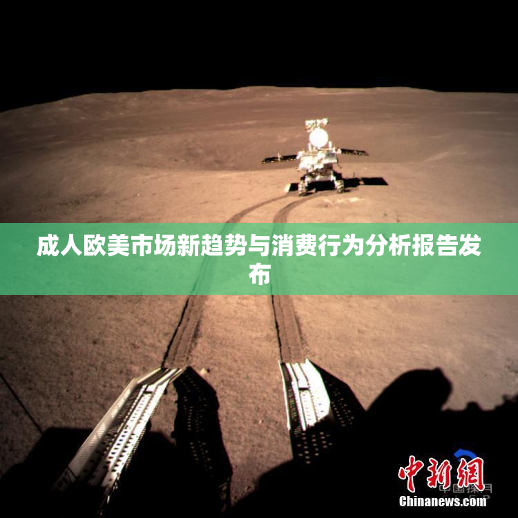 成人欧美市场新趋势与消费行为分析报告发布