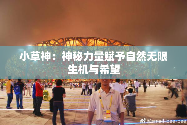 小草神：神秘力量赋予自然无限生机与希望