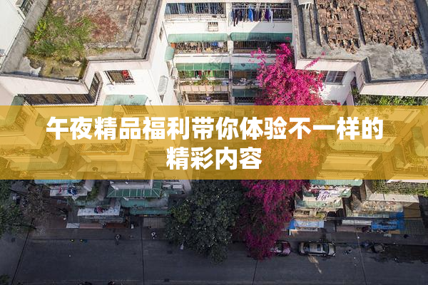 午夜精品福利带你体验不一样的精彩内容