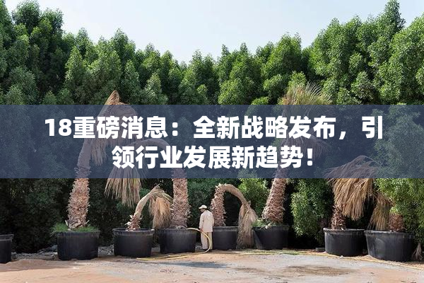 18重磅消息：全新战略发布，引领行业发展新趋势！