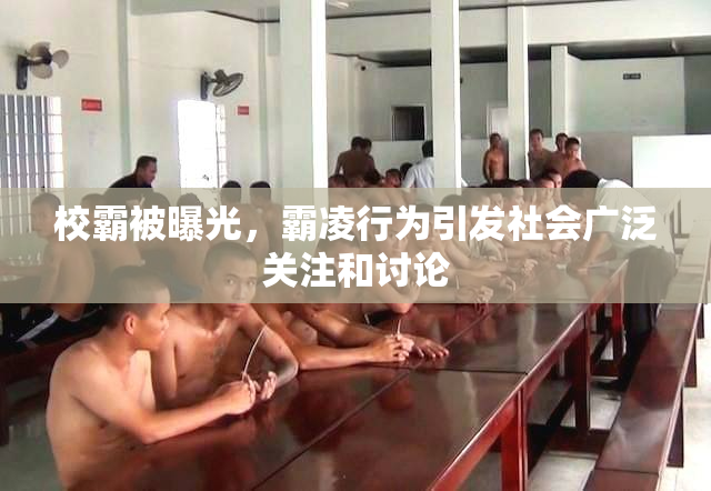 校霸被曝光，霸凌行为引发社会广泛关注和讨论