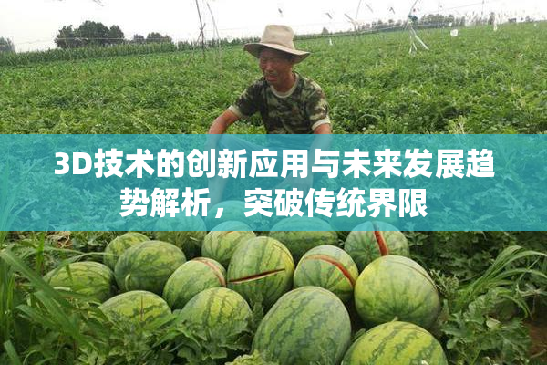 3D技术的创新应用与未来发展趋势解析，突破传统界限