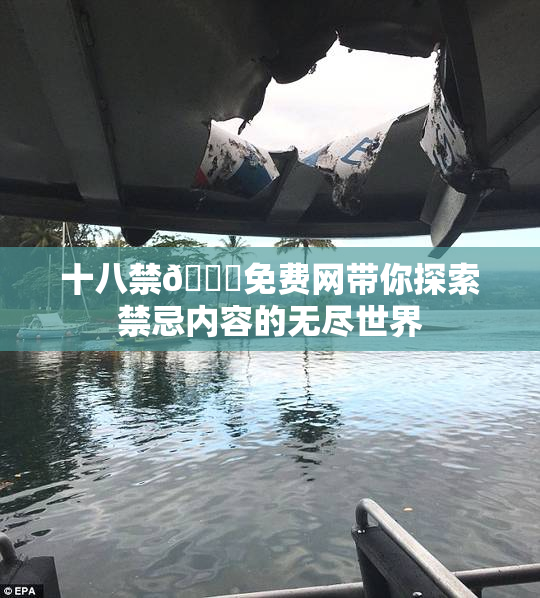 十八禁🔞免费网带你探索禁忌内容的无尽世界