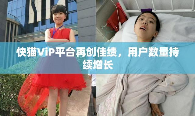 快猫ViP平台再创佳绩，用户数量持续增长