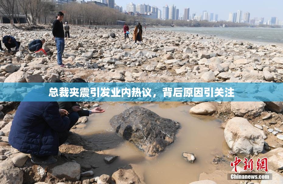 总裁夹震引发业内热议，背后原因引关注
