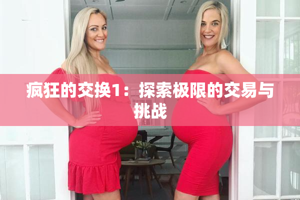 疯狂的交换1：探索极限的交易与挑战