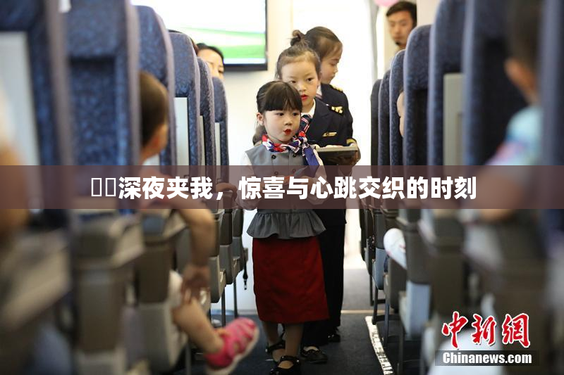 妺妺深夜夹我，惊喜与心跳交织的时刻