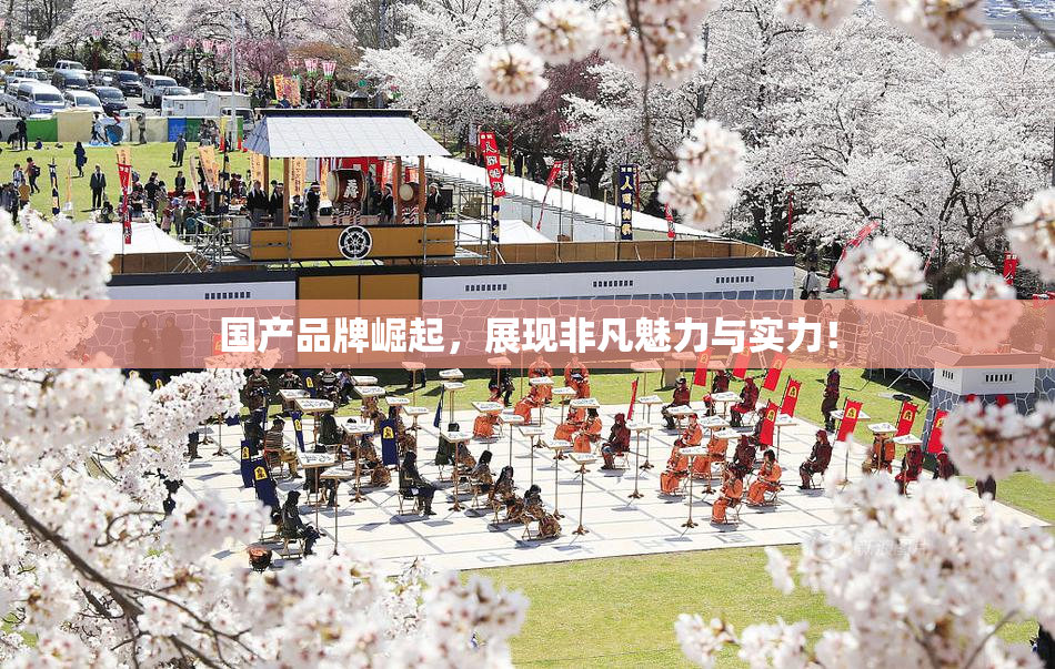 国产品牌崛起，展现非凡魅力与实力！