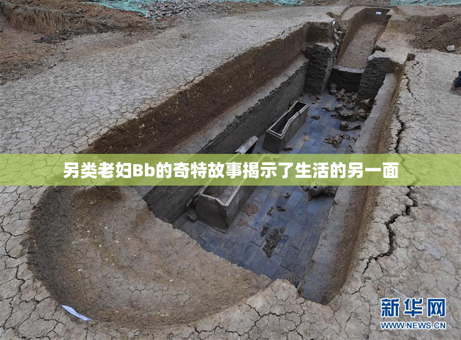 另类老妇Bb的奇特故事揭示了生活的另一面