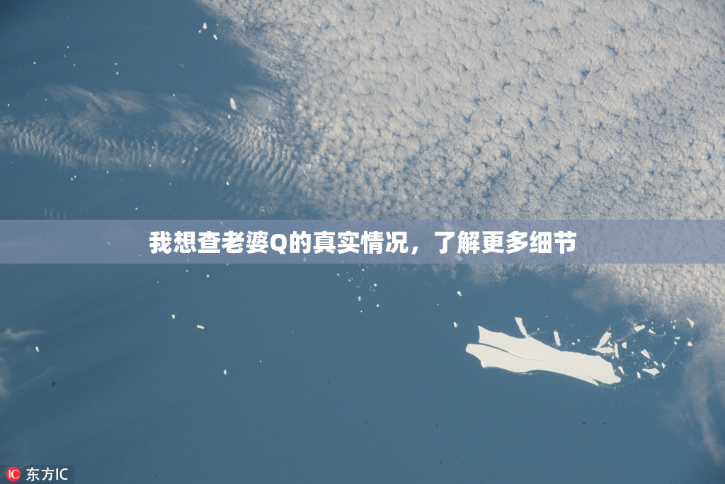 我想查老婆Q的真实情况，了解更多细节