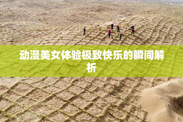 动漫美女体验极致快乐的瞬间解析