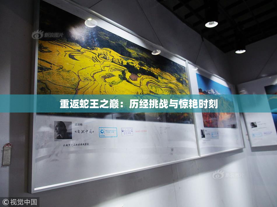重返蛇王之巅：历经挑战与惊艳时刻