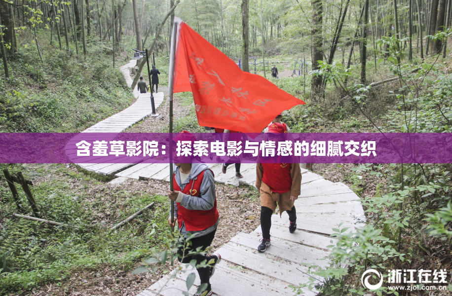 含羞草影院：探索电影与情感的细腻交织