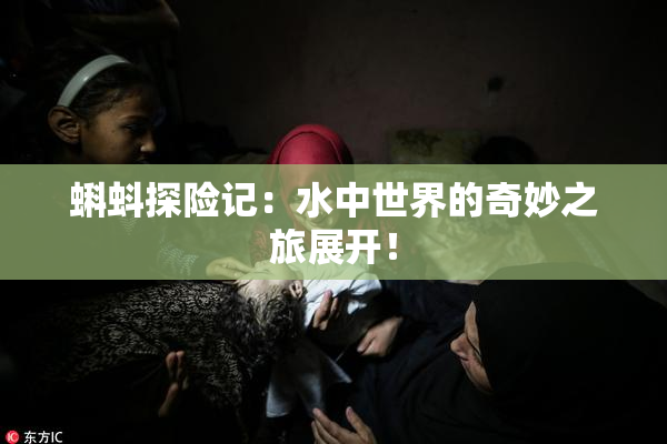 蝌蚪探险记：水中世界的奇妙之旅展开！