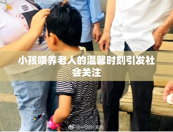 小孩喂养老人的温馨时刻引发社会关注
