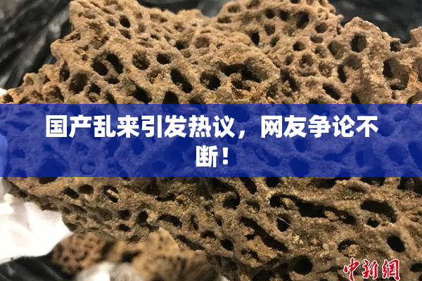 国产乱来引发热议，网友争论不断！