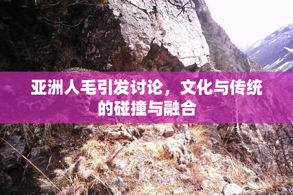 亚洲人毛引发讨论，文化与传统的碰撞与融合