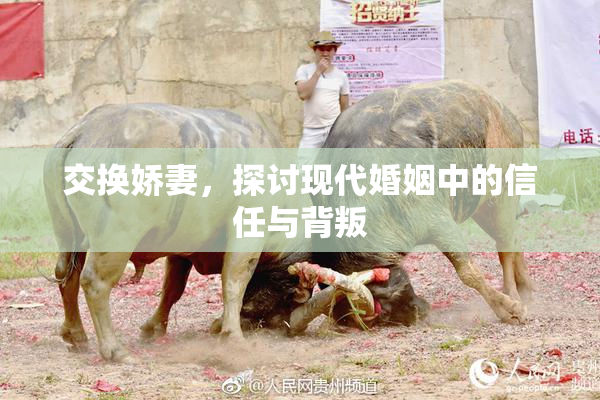 交换娇妻，探讨现代婚姻中的信任与背叛