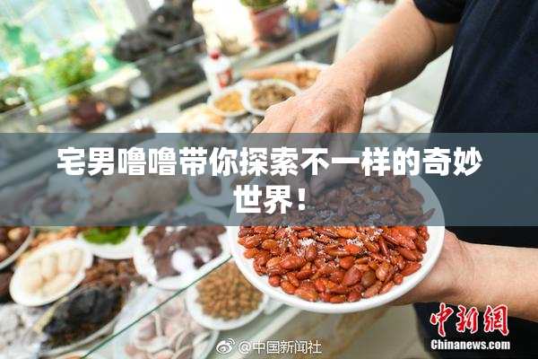 宅男噜噜带你探索不一样的奇妙世界！