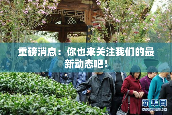 重磅消息：你也来关注我们的最新动态吧！