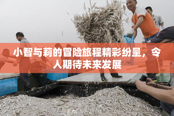 小智与莉的冒险旅程精彩纷呈，令人期待未来发展