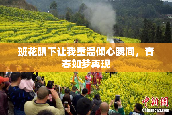 班花趴下让我重温倾心瞬间，青春如梦再现
