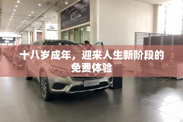 十八岁成年，迎来人生新阶段的免费体验