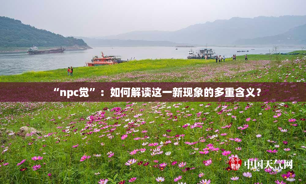 “npc觉”：如何解读这一新现象的多重含义？