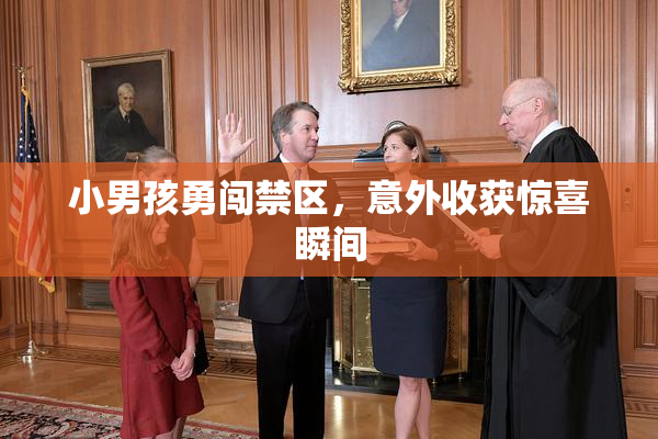 小男孩勇闯禁区，意外收获惊喜瞬间