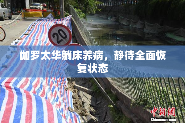 伽罗太华躺床养病，静待全面恢复状态