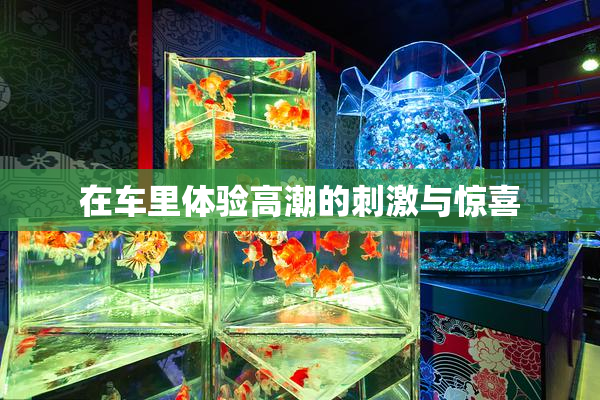 在车里体验高潮的刺激与惊喜