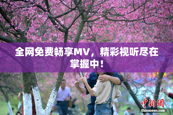 全网免费畅享MV，精彩视听尽在掌握中！