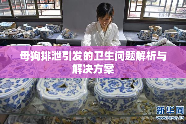 母狗排泄引发的卫生问题解析与解决方案