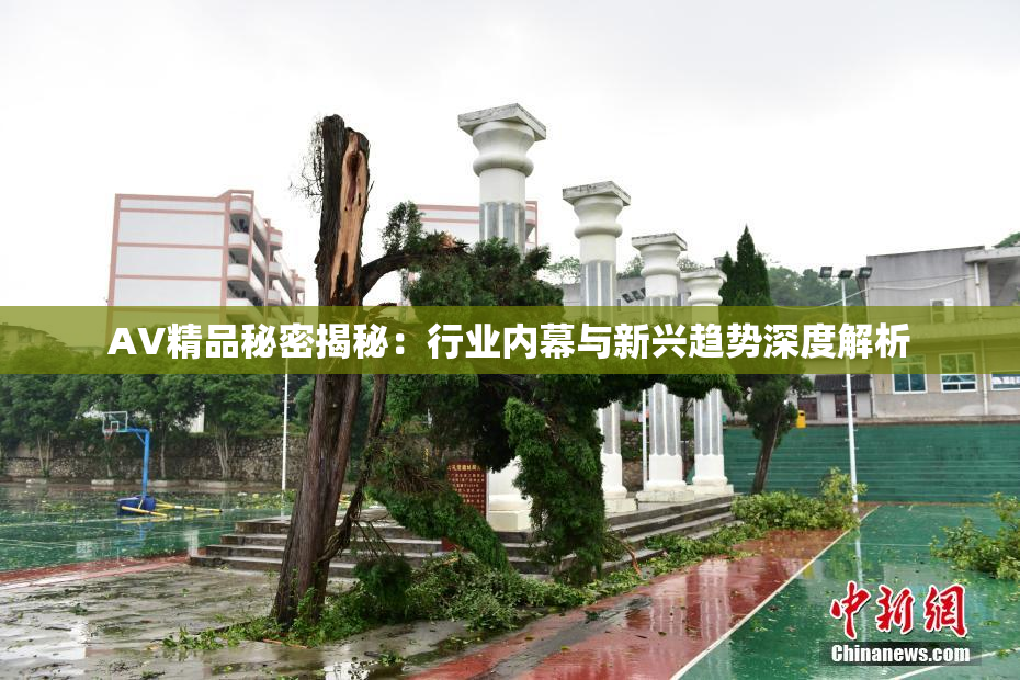 AV精品秘密揭秘：行业内幕与新兴趋势深度解析