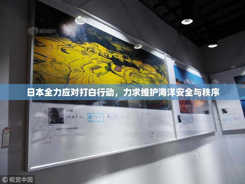 日本全力应对打白行动，力求维护海洋安全与秩序