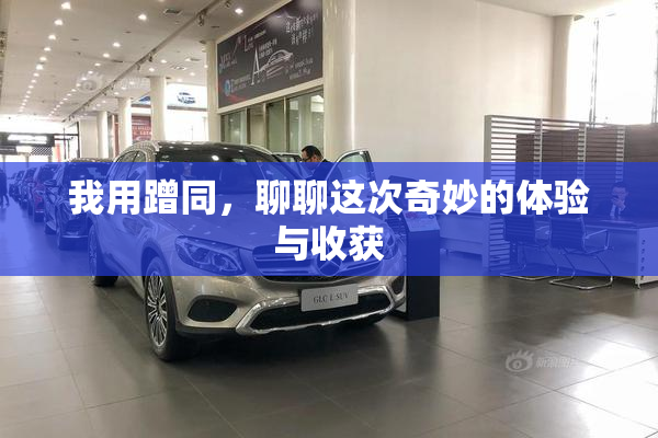我用蹭同，聊聊这次奇妙的体验与收获