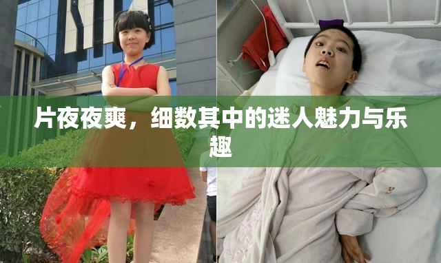 片夜夜爽，细数其中的迷人魅力与乐趣