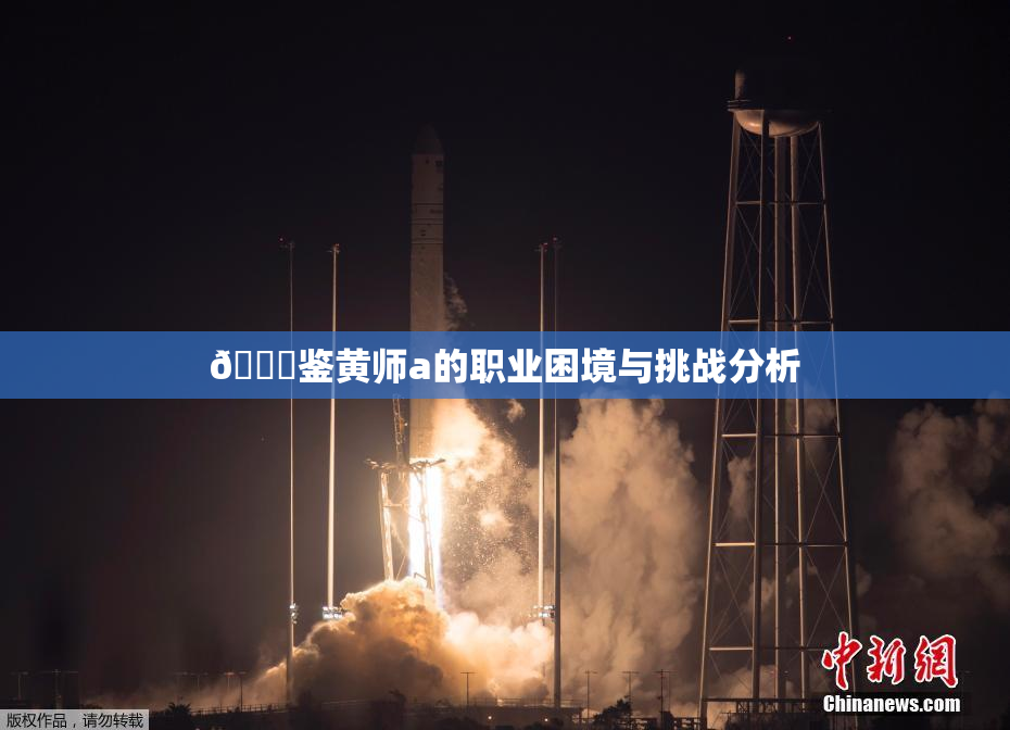 🔞鉴黄师a的职业困境与挑战分析