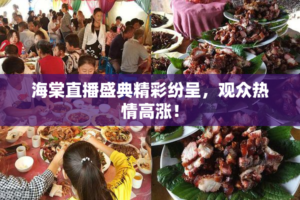 海棠直播盛典精彩纷呈，观众热情高涨！
