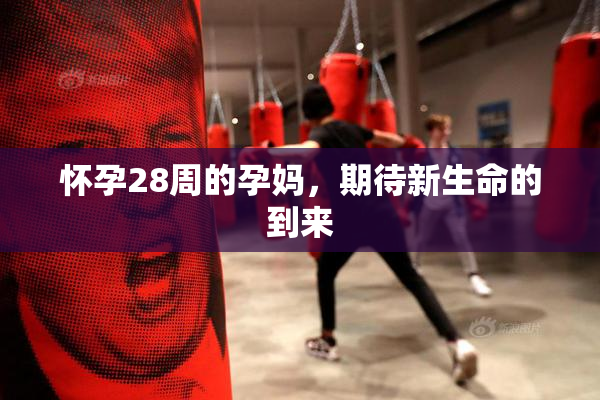 怀孕28周的孕妈，期待新生命的到来