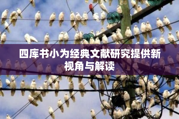 四库书小为经典文献研究提供新视角与解读