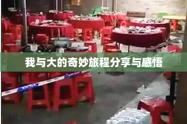 我与大的奇妙旅程分享与感悟