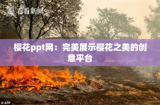 樱花ppt网：完美展示樱花之美的创意平台