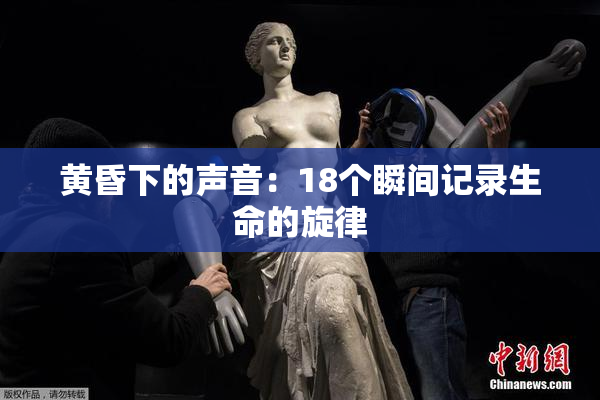 黄昏下的声音：18个瞬间记录生命的旋律
