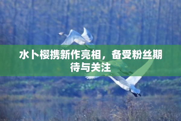 水卜樱携新作亮相，备受粉丝期待与关注