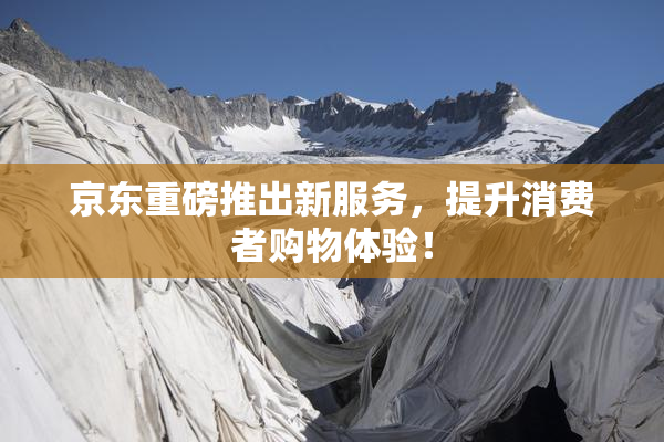 京东重磅推出新服务，提升消费者购物体验！