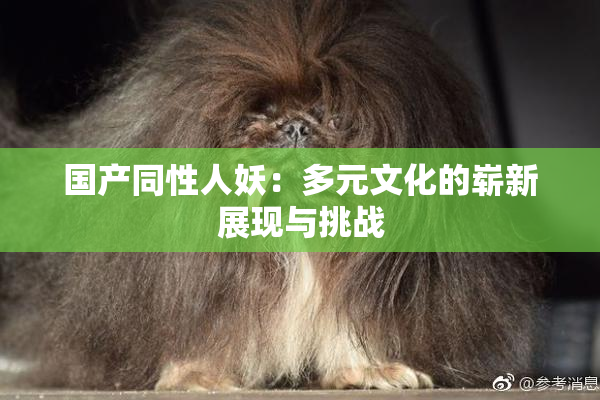 国产同性人妖：多元文化的崭新展现与挑战